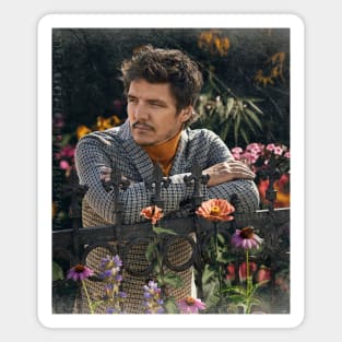 Pedro Pascal on The Fence Magnet